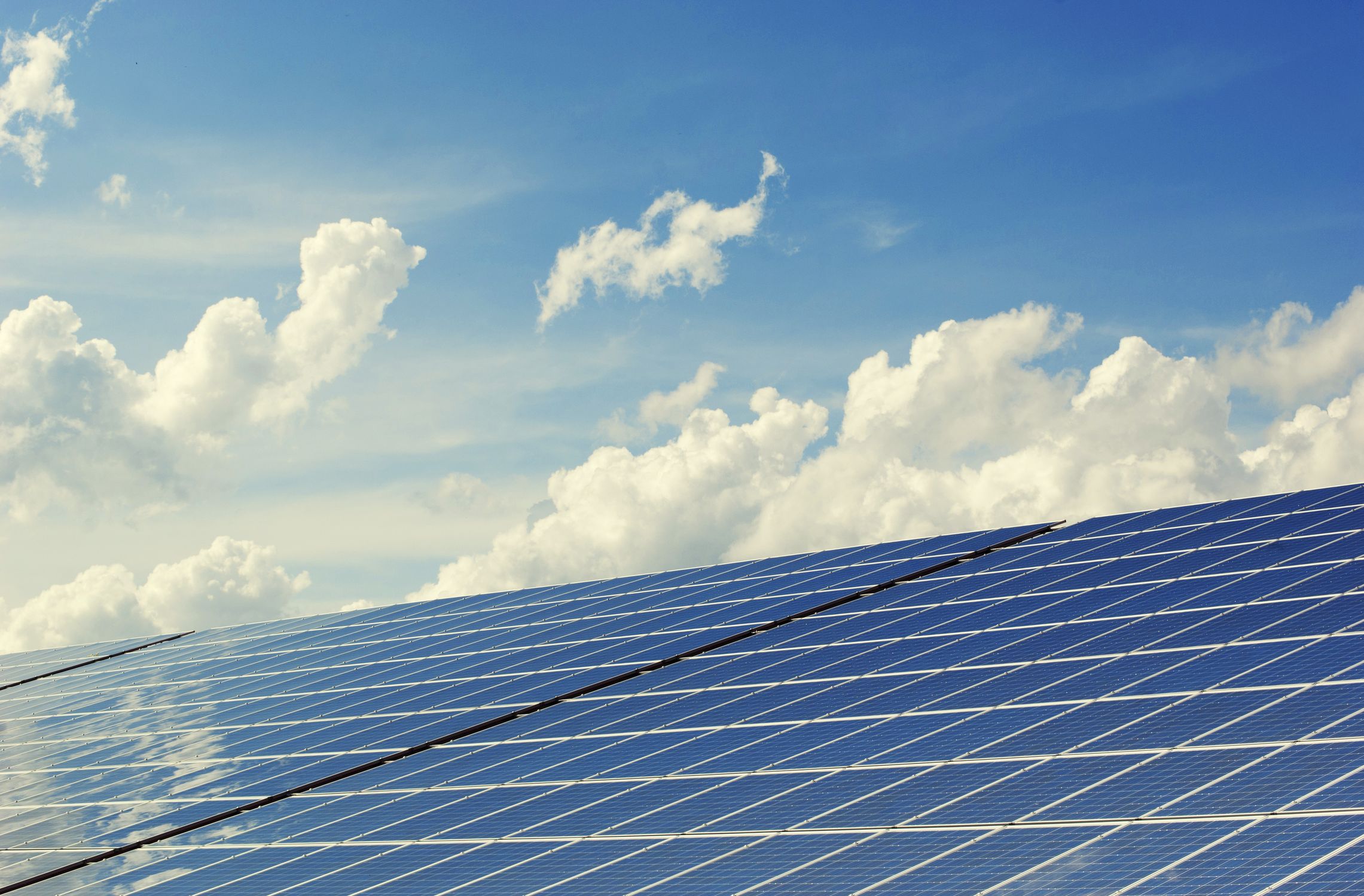 Solar farm wide view